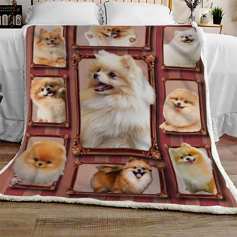 Pomeranian CL09100163MDF Sherpa Fleece Blanket