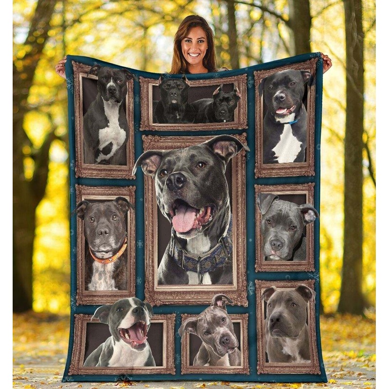 3D Pitbull CLA0412001F Sherpa Fleece Blanket