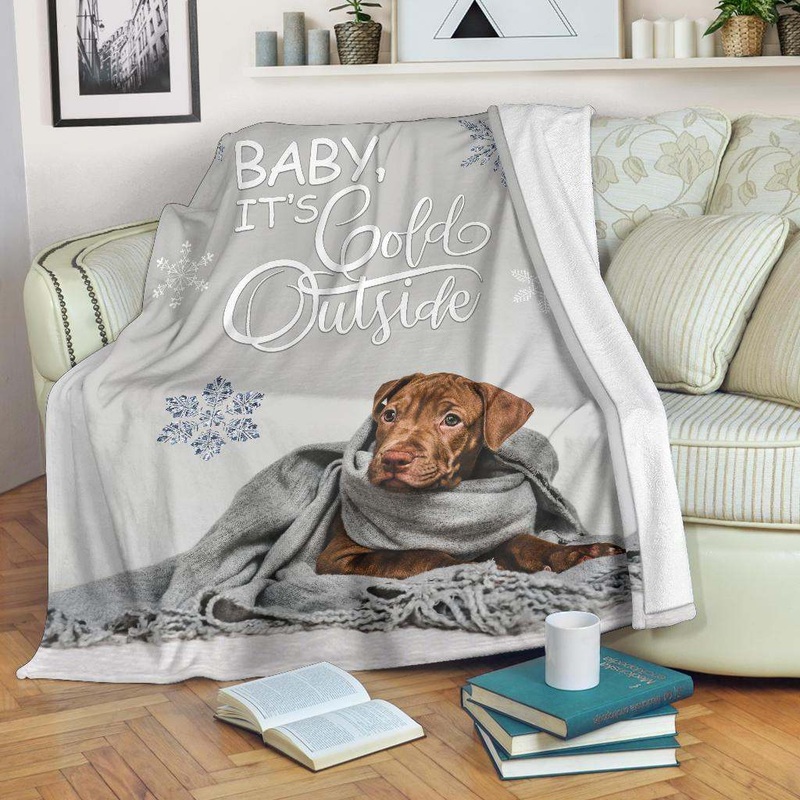 Baby it s Cold Outside Chocolate Lab CLA01111112F Sherpa Fleece Blanket