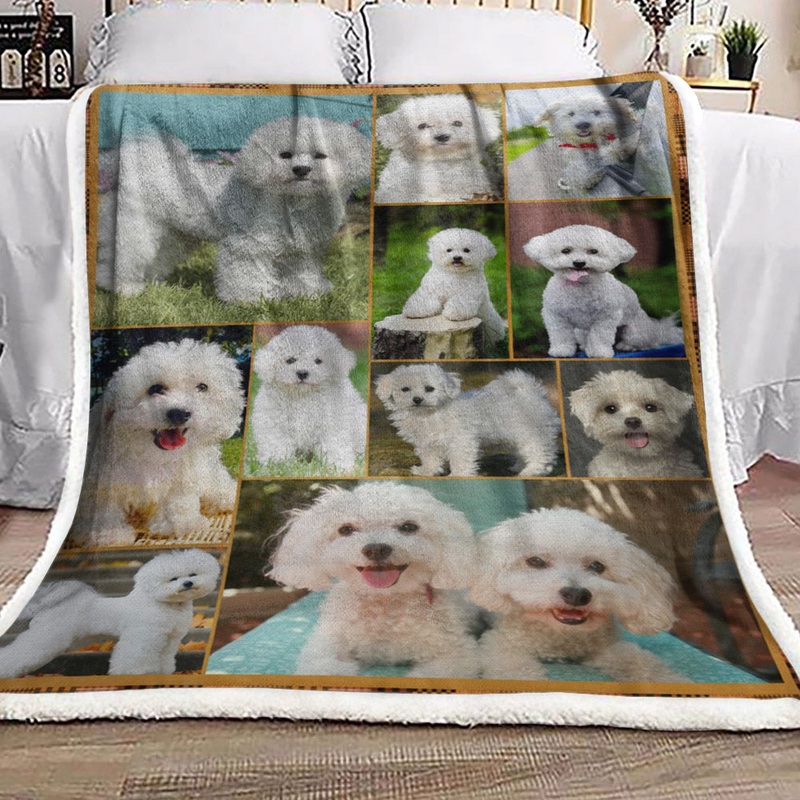 Bichon Frise CL15110046MDF Sherpa Fleece Blanket