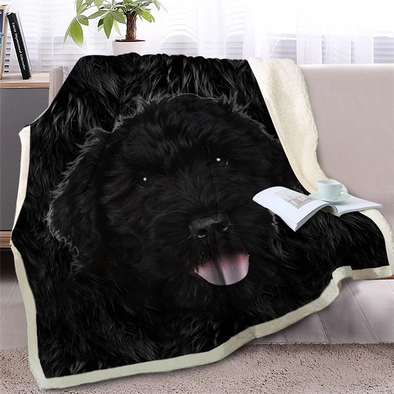 Toy Poodle CLH2511494F Sherpa Fleece Blanket