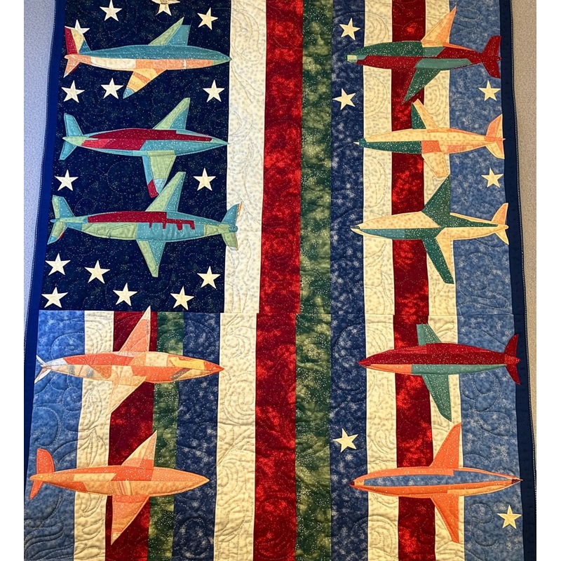 Airplane DAI241224506 Quilt Blanket