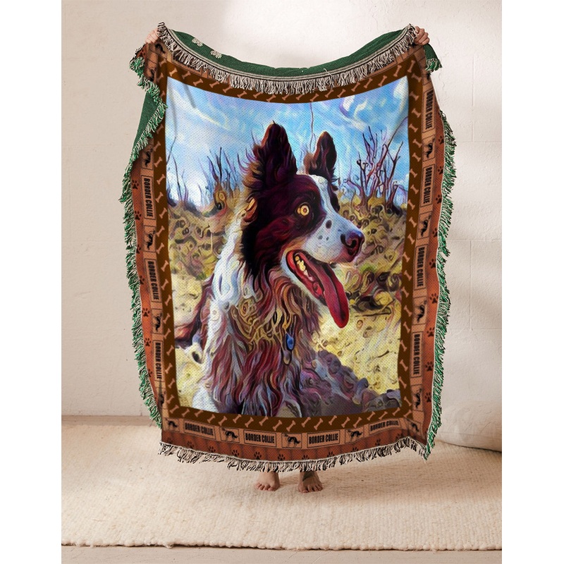 Border Collie HN2310020S Throw Blankets For Sofa