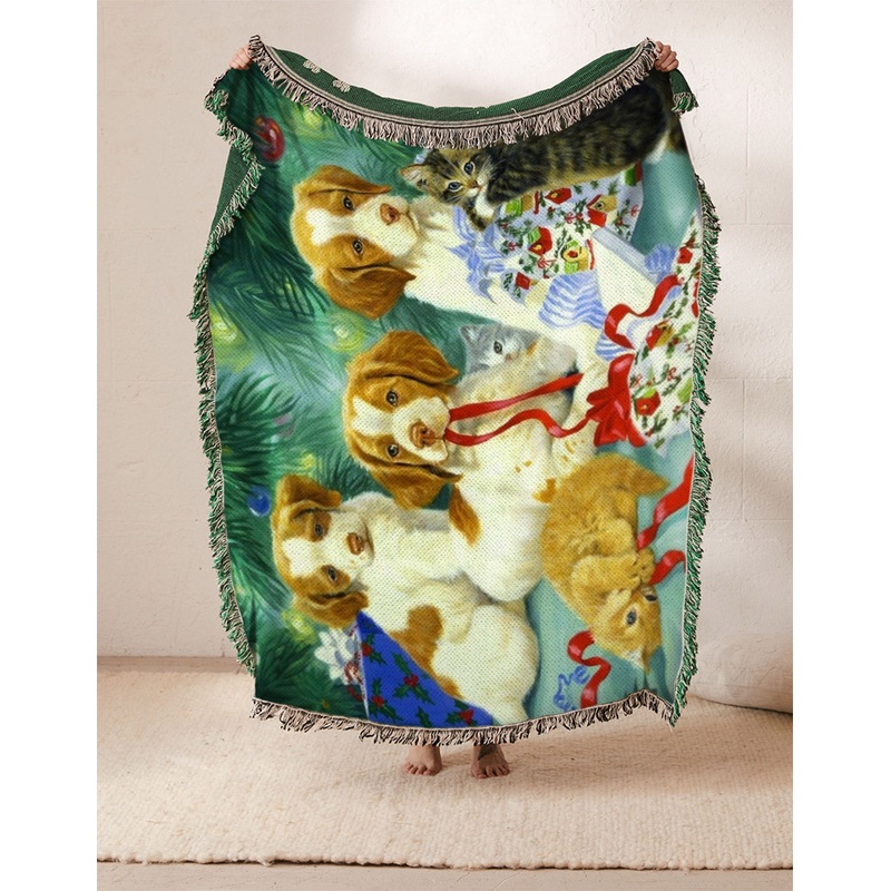 Brittany Spaniel NT2110023S Throw Blankets For Sofa