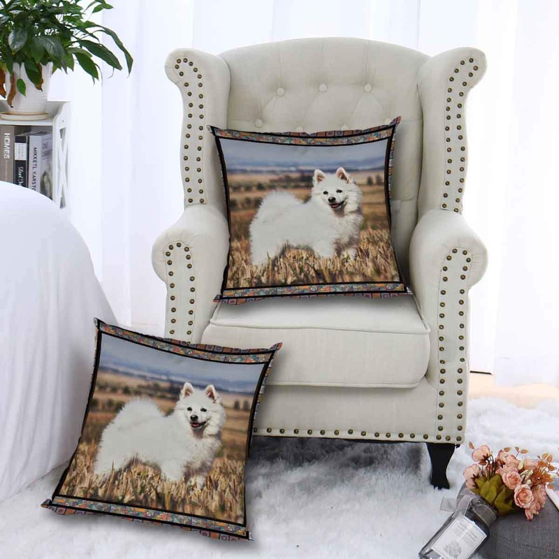 American Eskimo Cute CL09100015MDP Throw Pillow Covers