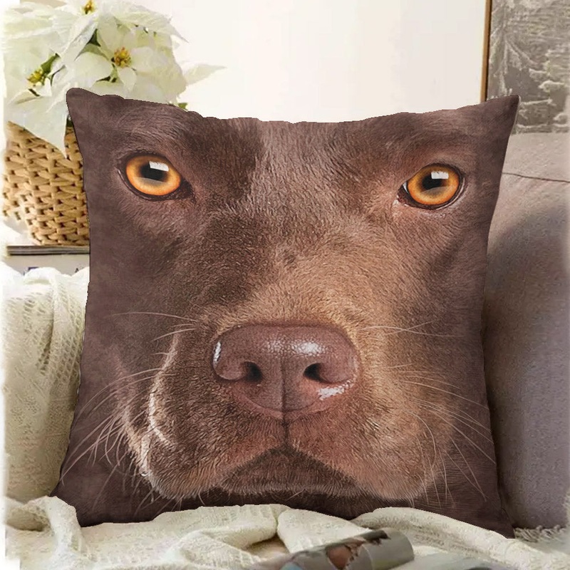 Chocolate Lab Face CLH2110084P Throw Pillow Covers