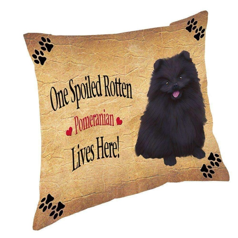 Pomeranian Black Spoiled Rotten Dog CL18112812MDP Throw Pillow Covers