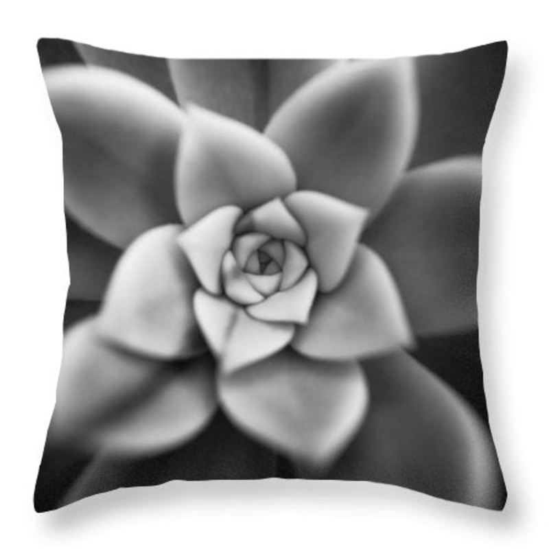 Succulent CLH3010437P Throw Pillow Covers