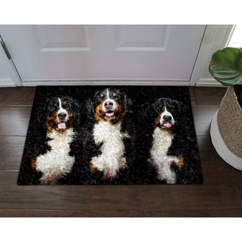 Bernese Mountain Dog DT0111017D Non-slip Door mats