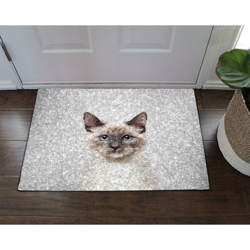 Cat VD011007D Non-slip Door mats