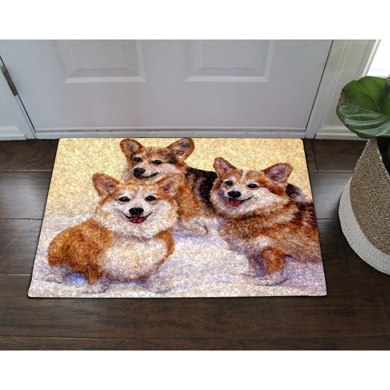 Corgi HN290701 Non-slip Door mats