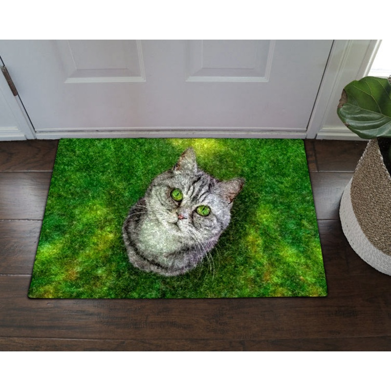 Cat CL070806MDD Non-slip Door mats