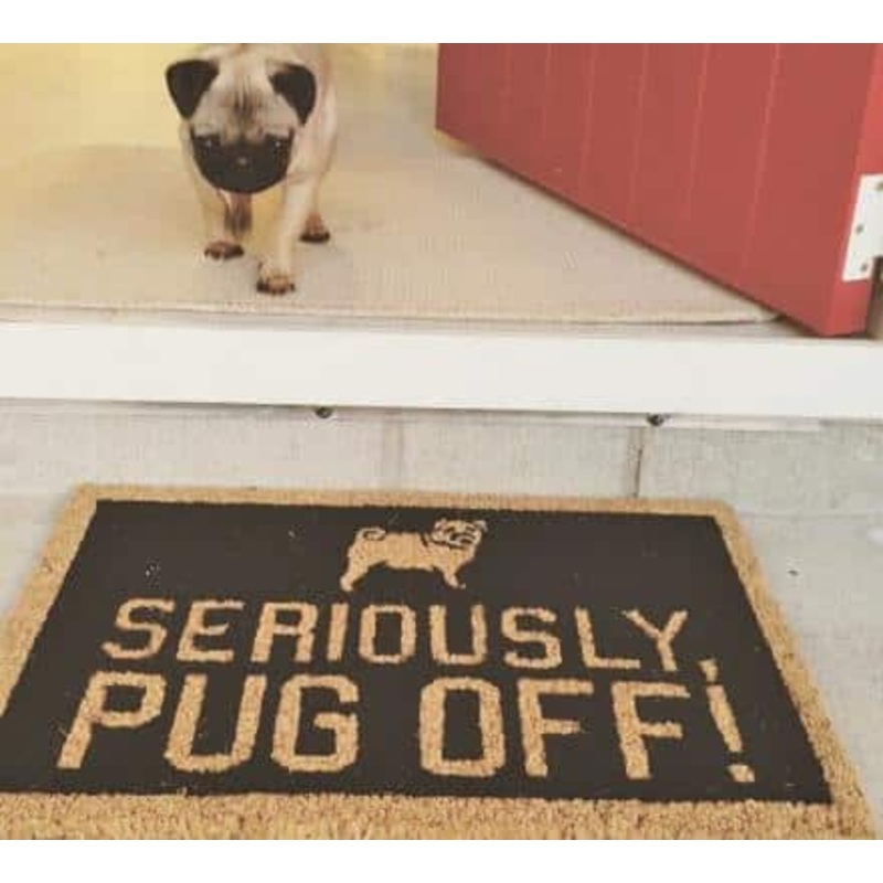 Pug Seriously Pug Off CLP0111123D Non-slip Door mats