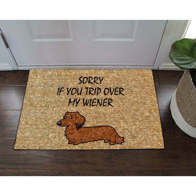 Sorry If You Trip Over My Wiener CLA1710132D Non-slip Door mats
