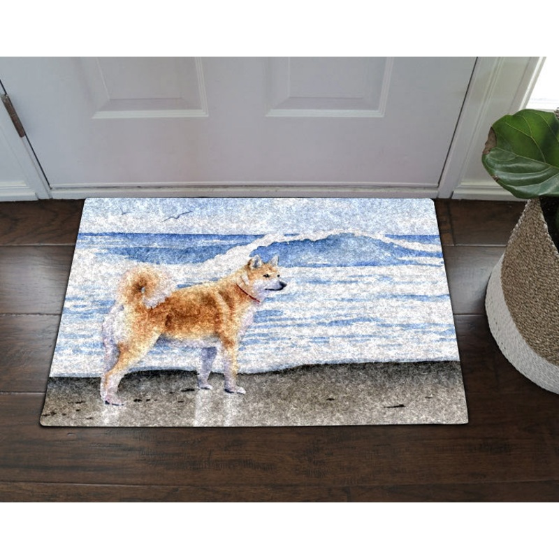 Akita NT190904D Non-slip Door mats