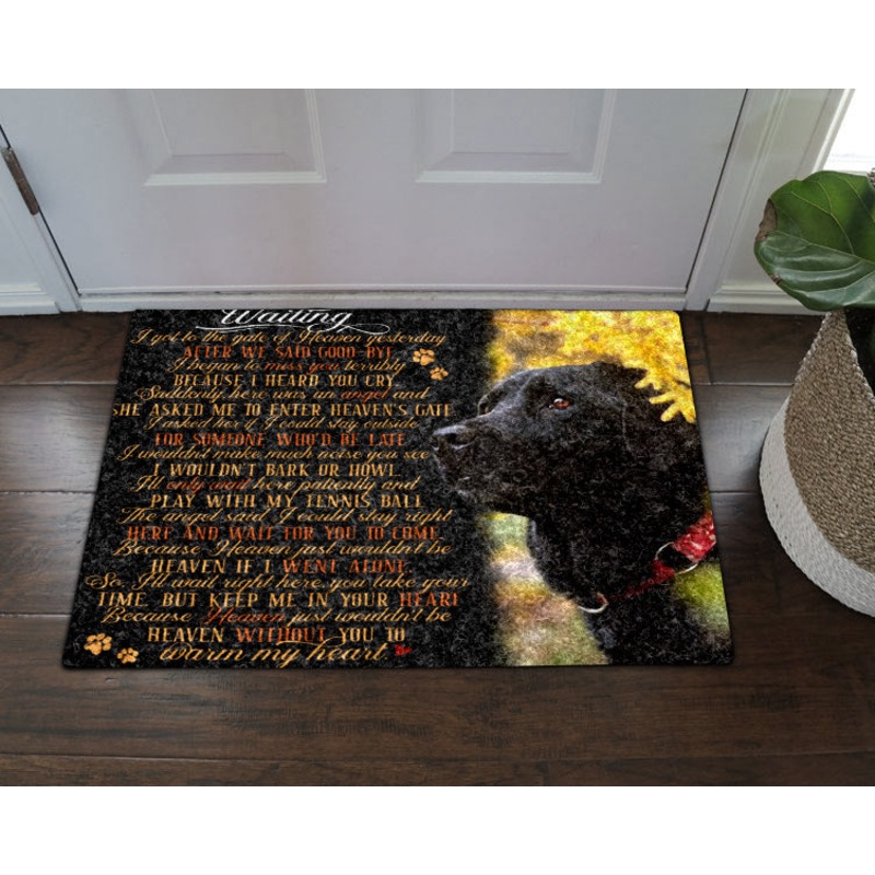 Black Labrador CL16110021MDD Non-slip Door mats