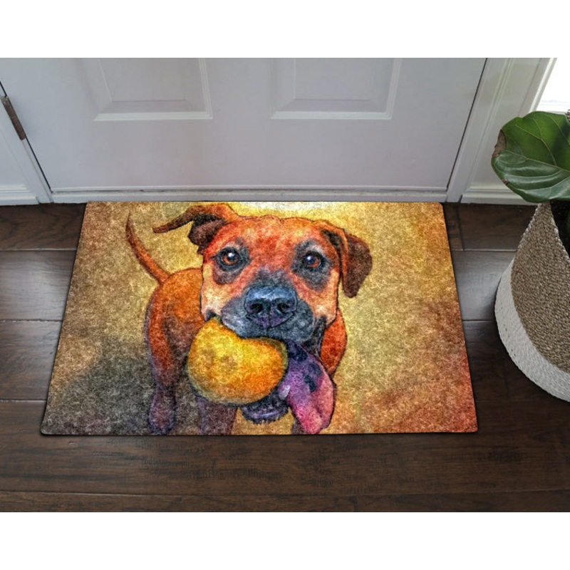 Boxer CL270809MDD Non-slip Door mats