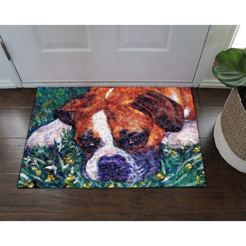 Boxer DD080909MDD Non-slip Door mats