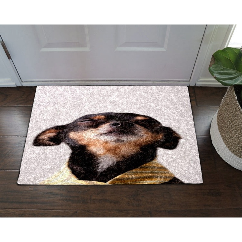 Chihuahua HN160913D Non-slip Door mats