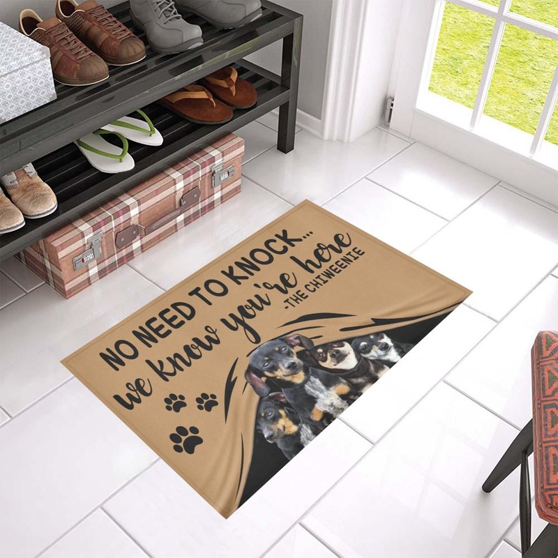 Chiweenie CL09100058MDD Non-slip Door mats