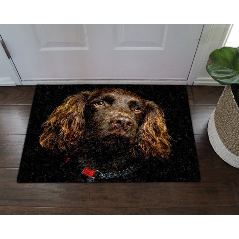 Cocker Spaniel DV28100046D Non-slip Door mats