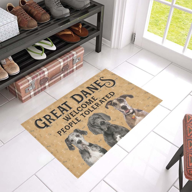 Great Dane CL02110246MDD Non-slip Door mats