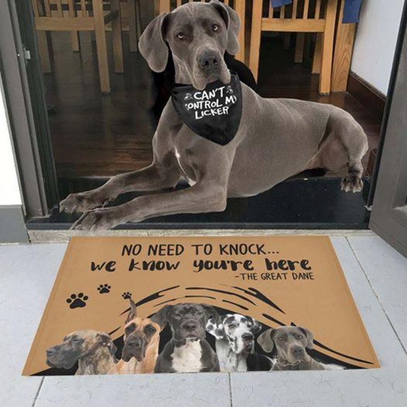 Great Dane CLH0912109D Non-slip Door mats