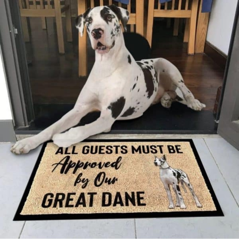 Great Dane Welcome You CLP0111091D Non-slip Door mats
