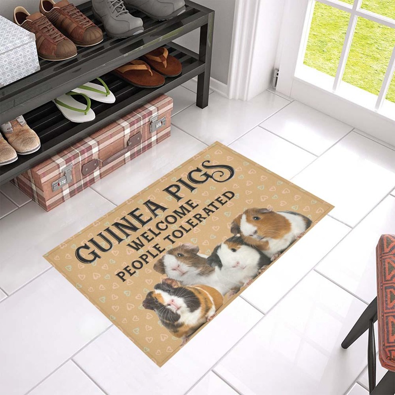 Guinea Pig CL02110257MDD Non-slip Door mats