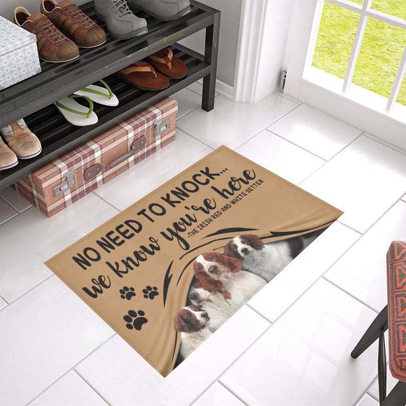 Irish Setter And White Setter CL09100108MDD Non-slip Door mats