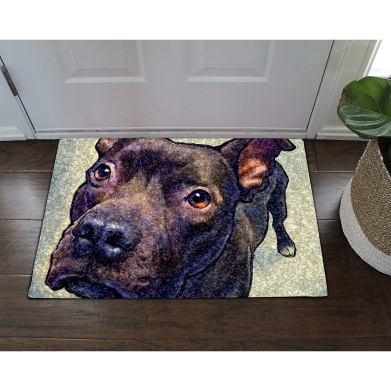 Pitbull CL270861MDD Non-slip Door mats